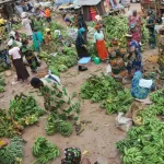 securite-alimentaire-et-nutritionnelle-une-etude-revele-4-8-millions-de-personnes-en-attente-d-assistance