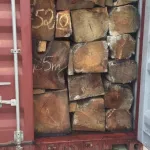 trafic-illicite-5-conteneurs-de-bois-de-vene-saisis-a-vridi