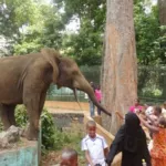 zoo-d-abidjan-le-directeur-suspendu-voici-son-remplacant