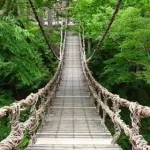 tourisme-les-defis-que-doit-relever-la-cote-d-ivoire