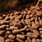 campagne-de-commercialisation-2020-2021-la-cote-d-ivoire-et-le-ghana-menacent-de-ne-pas-vendre-leurs-cacao