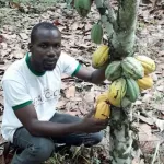 suspension-des-ventes-de-cacao-2020-2021-la-fepacc-ci-ne-veut-pas-attendre-et-exige-un-prix-bord-champ-de-1-000f-kg-des-la-prochaine-campagne