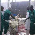 abattoir-de-port-bouet-la-taxe-fixee-a-17-000-francs-cfa-par-boeuf