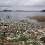 environnement-pollution-de-la-lagune-de-graves-consequences-revelees