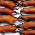 usa-un-ivoirien-arrete-a-l-aeroport-de-chicago-avec-15-kilos-de-viande-de-brousse