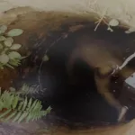 agboville-pour-protester-contre-le-bradage-de-la-parcelle-de-foret-de-son-defunt-pere-un-jeune-homme-se-tue-en-se-jetant-dans-un-puits