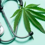 cannabis-l-experimentation-therapeutique-autorisee-en-france