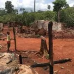 couvert-forestier-ivoirien-la-nouvelle-formule-du-gouvernement-pour-sauver-les-forets-classees