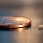 technologie-des-chercheurs-americains-creent-un-mini-robot-de-2-millimetres-de-long-avec-un-poids-de-5-milligrammes