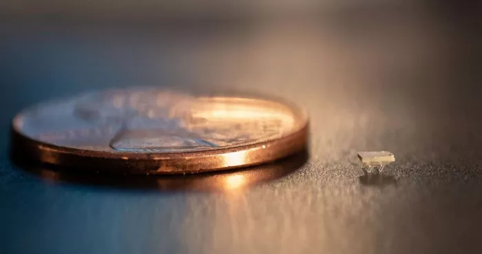 technologie-des-chercheurs-americains-creent-un-mini-robot-de-2-millimetres-de-long-avec-un-poids-de-5-milligrammes