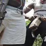 katiola-un-redoutable-gang-de-braqueurs-apprehendes-et-condamnes-a-20-ans-de-prison