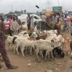 a-quelques-jours-de-la-tabaski-voici-les-prix-des-moutons