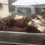 tabaski-ouattara-dramane-dit-od-offre-7-boeufs-et-20-moutons-aux-musulmans-du-plateau