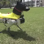 technologie-des-chercheurs-americains-inventent-un-chien-robot