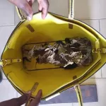 koumassi-deux-belles-dames-prises-en-flagrant-delit-de-cambriolage