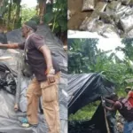 lutte-contre-la-drogue-decharge-d-akouedo-six-06-personnes-apprehendees-dont-un-element-des-forces-armees-de-cote-d-ivoire