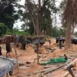 bangolo-beoue-zibao-des-pro-et-anti-orpailleurs-s-affrontent-a-la-machette-3-blesses-graves-signales