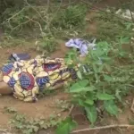 des-individus-tuent-un-agent-de-securite-en-lui-fracassant-la-nuque