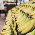 rude-concurrence-sur-le-marche-europeen-de-la-banane-les-producteurs-des-pays-acp-prennent-d-importantes-decisions-voici-les-4-recommandations-adressees-a-l-union-europeenne