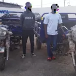 abobo-vol-deux-voleurs-s-emparent-du-champ-de-manioc-d-un-cultivateur-et-deterrent-tout