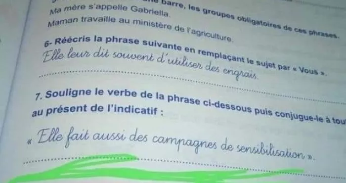 education-nationale-les-verites-sur-les-fautes-dans-un-livre-de-francais-du-cp2-la-colere-d-un-directeur