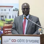 intelligence-economique-essis-esmel-ministre-il-nous-faut-renforcer-les-pratiques-existantes-en-la-matiere