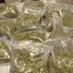 soubre-un-chauffeur-utilise-le-vehicule-de-son-entreprise-pour-vendre-la-drogue-plus-de-300-mille-francs-cfa-retrouves-dans-sa-poche