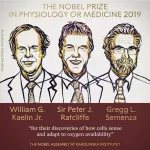 prix-nobel-2019-un-trio-de-chercheurs-pour-le-prix-nobel-de-medecine