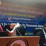 strategie-africaine-de-l-economie-bleue-ce-que-proposent-les-experts-africains-tout-sur-le-processus-et-les-mecanismes-de-financement