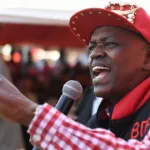 botswana-le-president-sortant-mokgweetsi-masisi-reelu