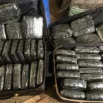 bondoukou-la-douane-saisit-50-kg-de-cannabis