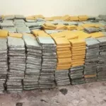 grand-bassam-une-enorme-quantite-de-drogue-debarquee-et-planquee-dans-un-village-les-narco-trafiquants-activement-recherches