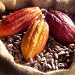 filiere-cacao-une-menace-d-embargo-plane-sur-la-cote-d-ivoire