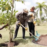 journee-nationale-de-la-paix-un-pretre-appelle-a-passer-des-arbres-a-des-actes-veritables-pour-la-paix