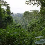 africa-sante-expo-2020-nature-et-bio-au-menu