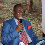 filiere-hevea-attendu-en-2019-pourquoi-le-prix-du-caoutchouc-n-a-pas-augmente