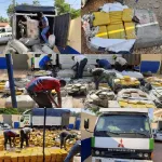 samo-plus-de-3-tonnes-de-drogues-dissimulees-sous-des-noix-de-coco-dans-un-camion