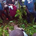 rd-congo-22-civils-tues-a-la-machette