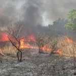 sakassou-la-foret-sacree-du-walebo-en-feu-a-48h-de-la-visite-de-ouattara