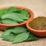 beaute-voici-les-bienfaits-de-henne-sur-les-cheveux