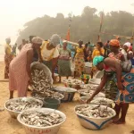 developpement-de-l-activite-de-peche-en-cote-d-ivoire-sassandra-a-enfin-son-debarcadere