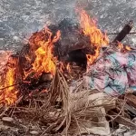 man-des-femmes-agees-interpellees-a-un-corridor-avec-2-tonnes-de-viandes-fumees-tentent-de-corrompre-des-agents-des-eaux-et-forets