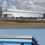 coronavirus-on-produit-de-la-chloroquine-au-vitib