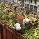 maladie-a-coronavirus-adjame-le-marche-des-vivriers-a-change-de-visage-porteurs-de-bagages-brouettes-et-tricycles-chasses