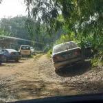 lutte-contre-la-propagation-du-covid-19-les-mesures-de-prevention-foulees-au-pied-des-maquis-deplaces-dans-des-fermes-avicoles