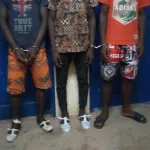 man-actes-criminels-pendant-le-couvre-feu-un-gang-de-jeunes-garcons-demantele