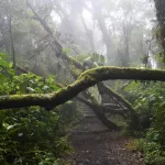 agboville-decedes-dans-conditions-mysterieuses-des-cadavres-refusent-de-prendre-la-route-du-cimetiere