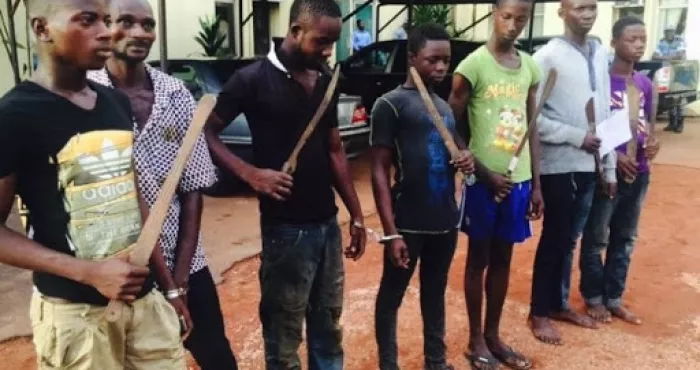 agnibilekrou-un-camp-de-formation-de-microbes-decouvert-leur-chef-abattu-des-machettes-et-un-fusil-calibre-12-saisis