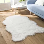 entretien-comment-enlever-une-marque-de-meuble-sur-un-tapis-ou-une-moquette