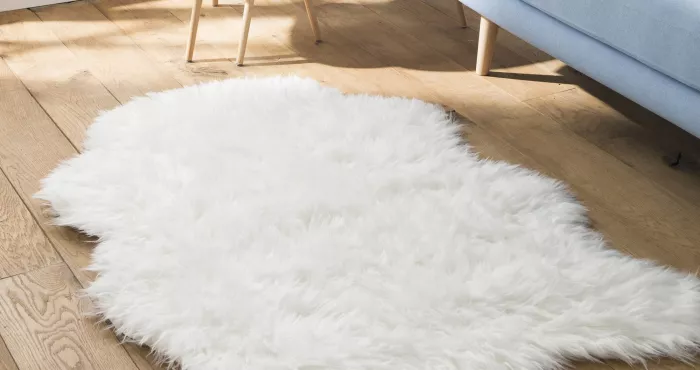 entretien-comment-enlever-une-marque-de-meuble-sur-un-tapis-ou-une-moquette